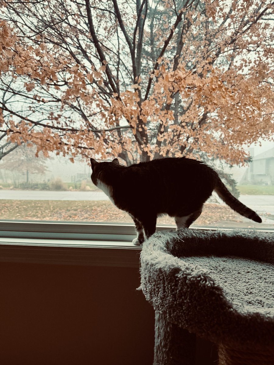 “바람이여 안개를 걷어가다오”