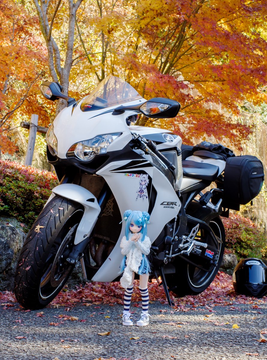 takezou1316's tweet image. 寒くなる前に乗らないとヤバい！ということでいつもの道志みちを走ってきました
・・・エンストするし右コーナーのトラウマはまた復活してるしで走りはヨレヨレでしたが、無事に走れました
宮子「たけぞう氏～ツーリングは銀ちゃんの担当では？」
銀はこの前出かけたからいいのだ
#ドールとバイク