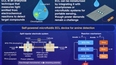 TechBriefsMag's tweet image. This #SelfPoweredDevice Can #Detect #ToxicAmines in Water

It works by producing light during a #chemicalreaction. The light&apos;s brightness indicates whether pollutants are present, allowing for the detection of contamination.

ow.ly/EQzi50XxpgJ

#InstituteofScienceTokyo