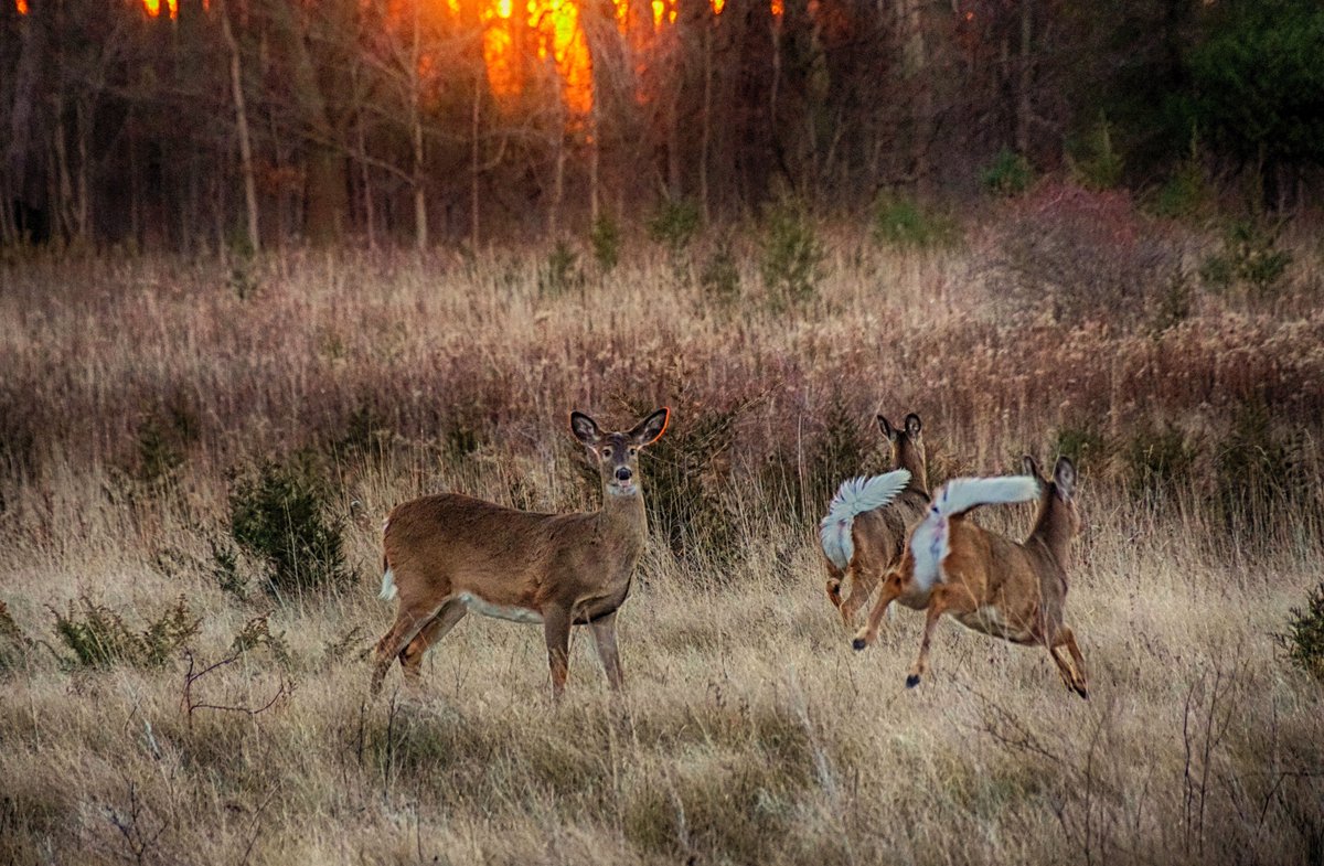 On the move.  Nov 25 <a href="/weathernetwork/">The Weather Network</a> <a href="/CanGeo/">Canadian Geographic</a>  Prince Edward County