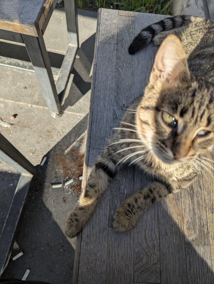 Hastane kampüslerinin her tarafında fosur fosur sigara içilmesi serbest de kedi beslemek mi yasak?
Yasak yasaktır.
<a href="/TC_istanbul/">TC İstanbul Valiliği</a> <a href="/ismgovtr/">İstanbul İl Sağlık Müdürlüğü</a> <a href="/sagliklicozum/">T.C. Sağlık Bakanlığı Sağlıklı Çözüm</a> 
(Meraklısına not: İkisi de yanlış)