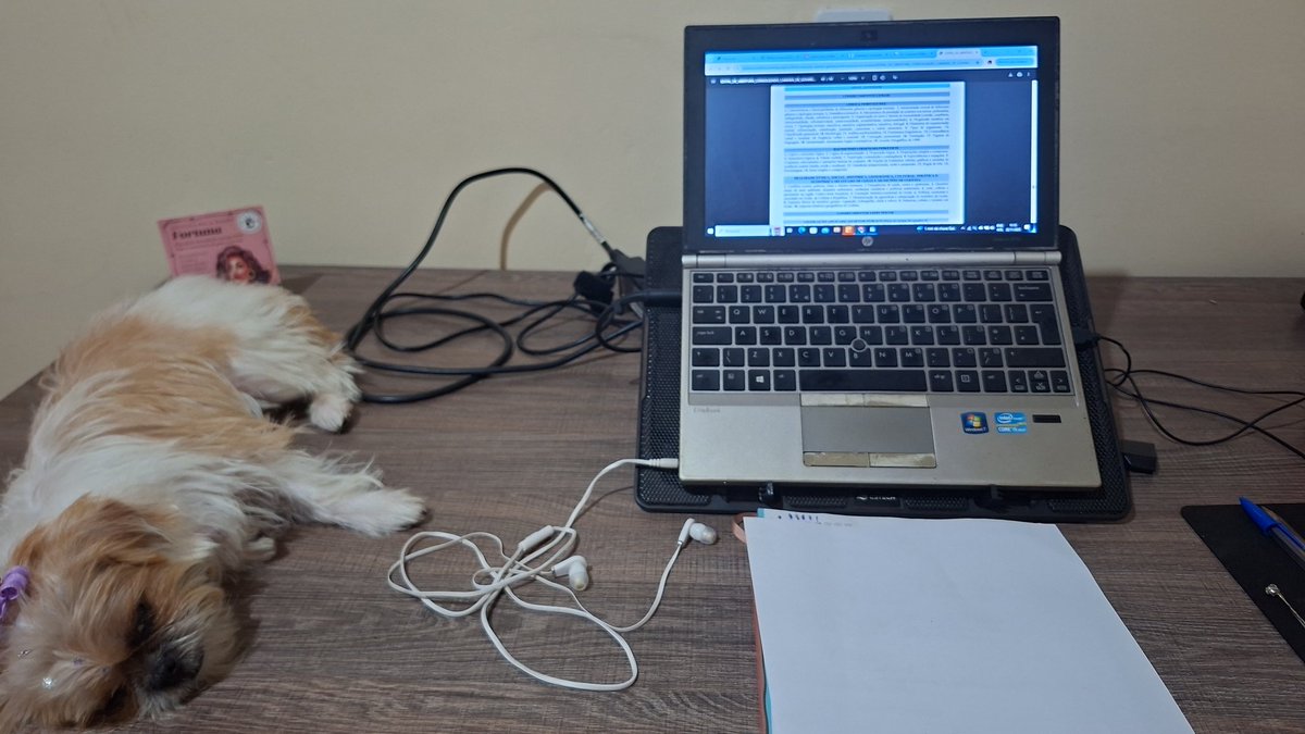 vcquercafe's tweet photo. Minha cãopanheirinha dando aquele apoio moral🥰 " bora, Márcia, que eu gosto é de petiscos caros😴" https://t.co/gpWtfRr20U