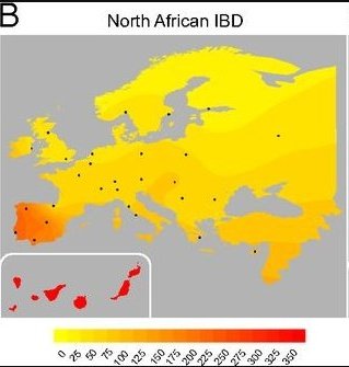 PamphletsY's tweet image. 🚨🇪🇸 BREAKING — Spain is an Arab Nation Practicing Ba&apos;athist Socialism.