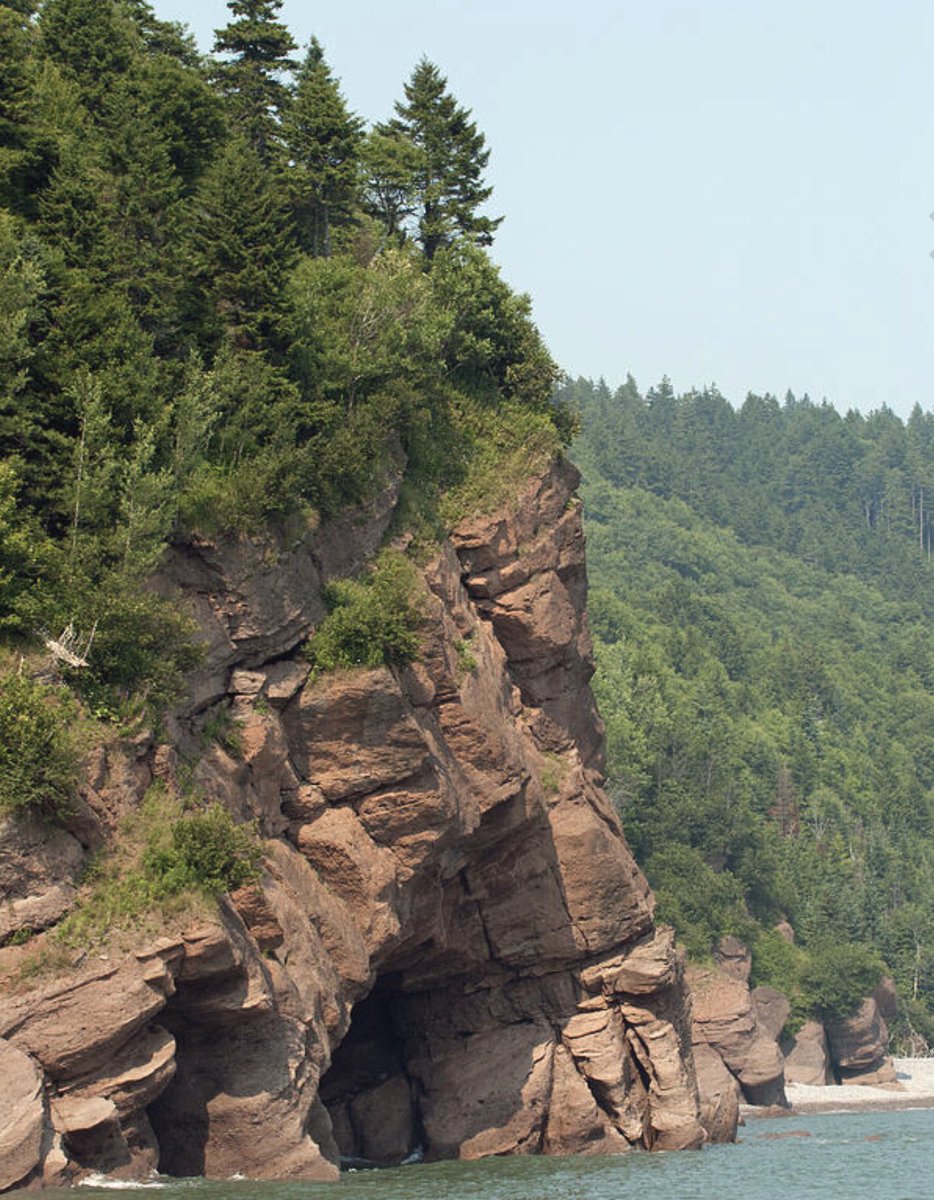 shonna99784's tweet image. St Martins Rocky Coastline shonna-hawkins.pixels.com/featured/stmar…

Towering cliffs with lush greenery rise above a calm, blue sea. The shoreline&apos;s intricate rock formations create a dramatic landscape.

#StMartins #RockyCoastline #Cliffs #ShonnaHawkinsPhotography #BuyIntoArt
