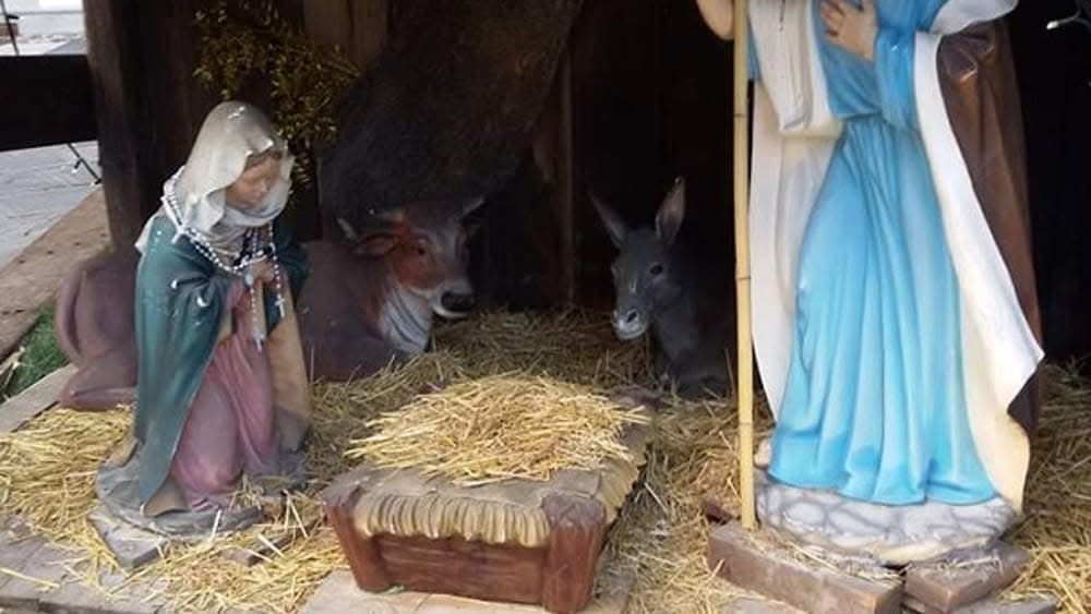 spinozait's tweet image. +++ TOLTO FIGLIO AI GENITORI CHE VIVONO IN UNA STALLA +++