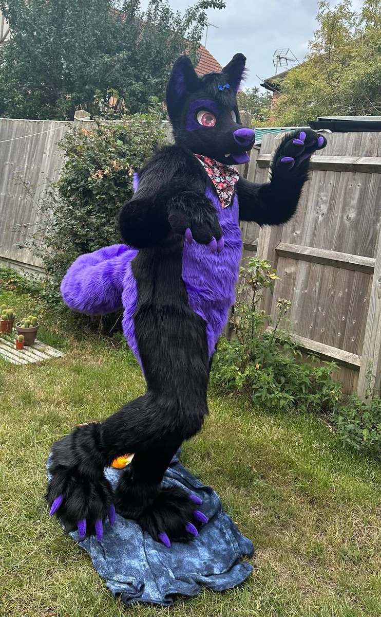 I am opening for 1- bodysuit only commission. I can start it January so that gives you time to do a dtd. 

Prices start -£2000 plantigrade (includes feet)  £1500 without feet

Digitigrade-£3000- will include feet as I do digi boots. Can do without feet for £2500.