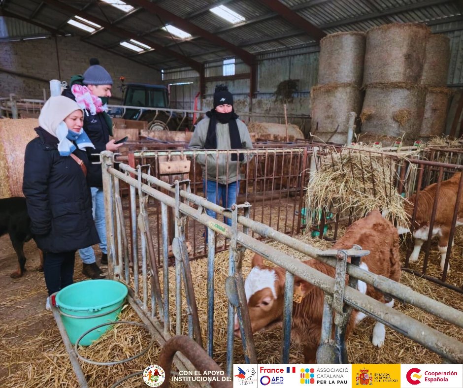 lacanastacampes's tweet image. Representantes de La Canasta Campesina continúan su visita en Francia, conociendo productores, tiendas, granjas y espacios de elaboración de queso.
Todo esto es posible gracias al Socorro Popular Francés.

#SomosFamilia 
#CanastaCampesina
#SomosArtesanosDeLaTierra