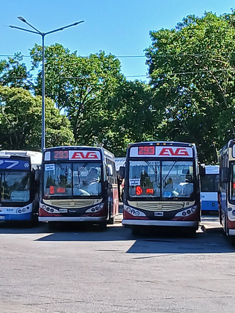 <a href="/AtrasMire/">mire atrás al bajar</a> <a href="/BondisYan/">Bondis.yan</a> 
Ya funciona la nueva extensión del 293 a Burzaco!