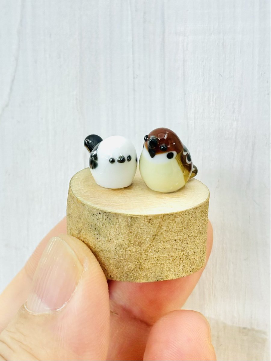 残り5日間となりました

シマエナガは相変わらず人気です❤️

11月18日(火)〜11月30日(日)
「HOW HOUSE PICK UP CREATORS」
東京 池袋駅アゼリアロード
10:00〜21:00
最終日19:00閉場
<a href="/event_how/">HOW HOUSE 出張イベント情報</a>  #HOWHOUSE 
#ガラス #とんぼ玉