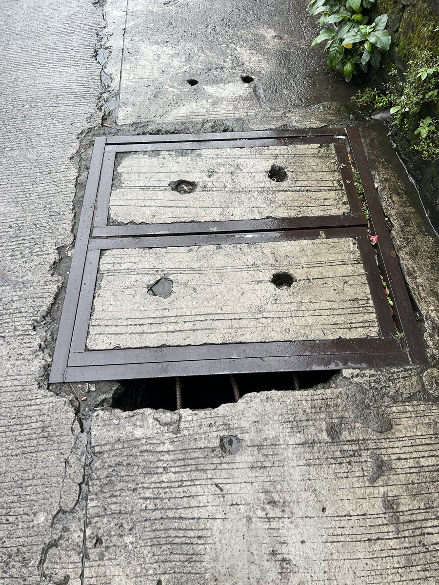 デール tweet media