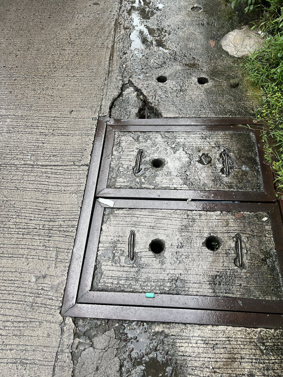 デール tweet media