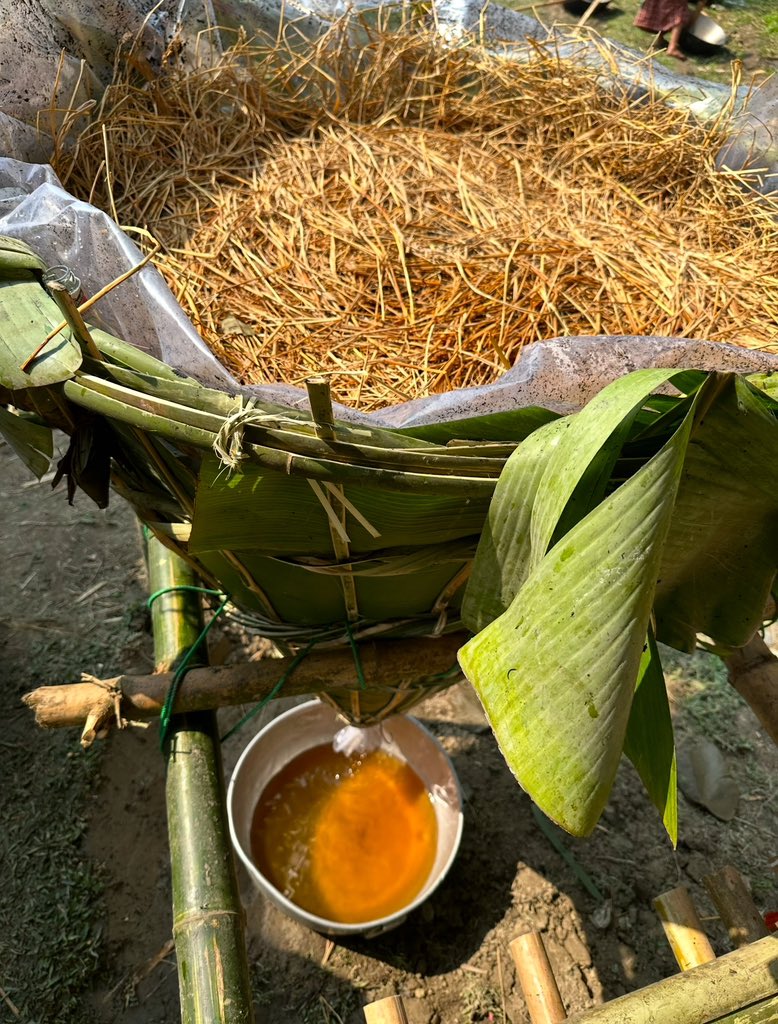 #8pm : #WinesOfAssam 
Assam is a tapestry of cultures, flavors, and traditions! 
From the Karbi's Horo to the Dimasa's Sama Mod and the Mising's Apong, Ahom’s Xaj and the Bodo’s Jhumai , each community's ethnic wine tells a story of heritage and hospitality. Cheers to Assam's