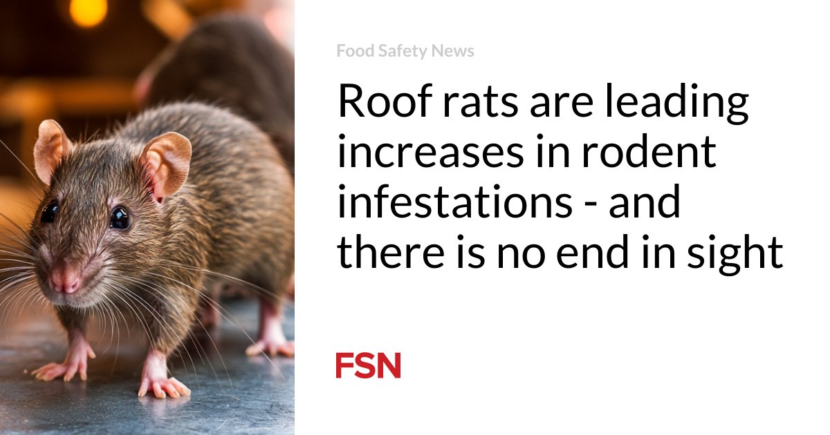 Generis_Food's tweet image. Is your facility prepared while rodent activity surges? 🐀

@Rentokil&apos;s insights shed light on what&apos;s driving the increase of roof rats and how to stay ahead.

Read the full news article: hubs.ly/Q03Q_WF20 

–
#FoodMfgUS25 #GenerisFMS #RodentControl #FoodManufacturing