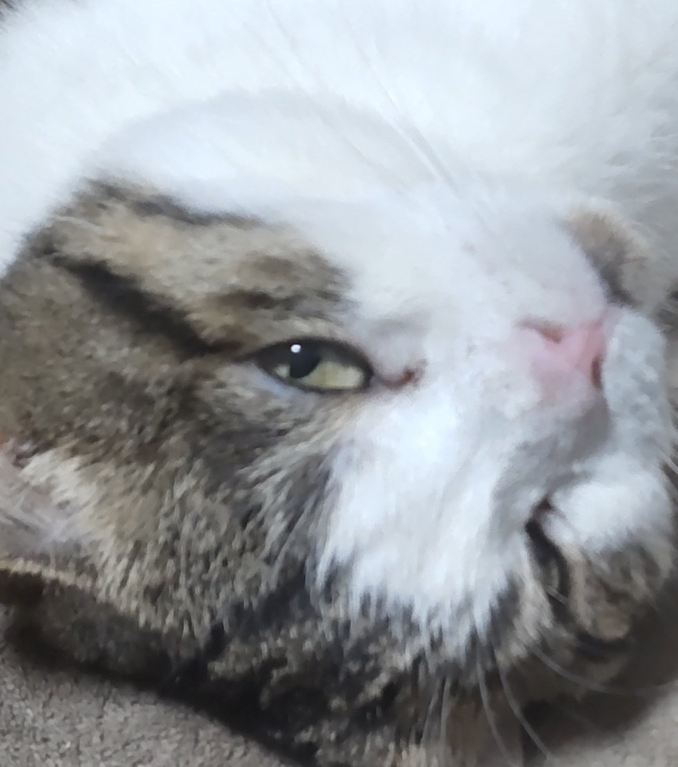 ちゅん太 (@EJljztWOoN2DUMn) / Posts / X