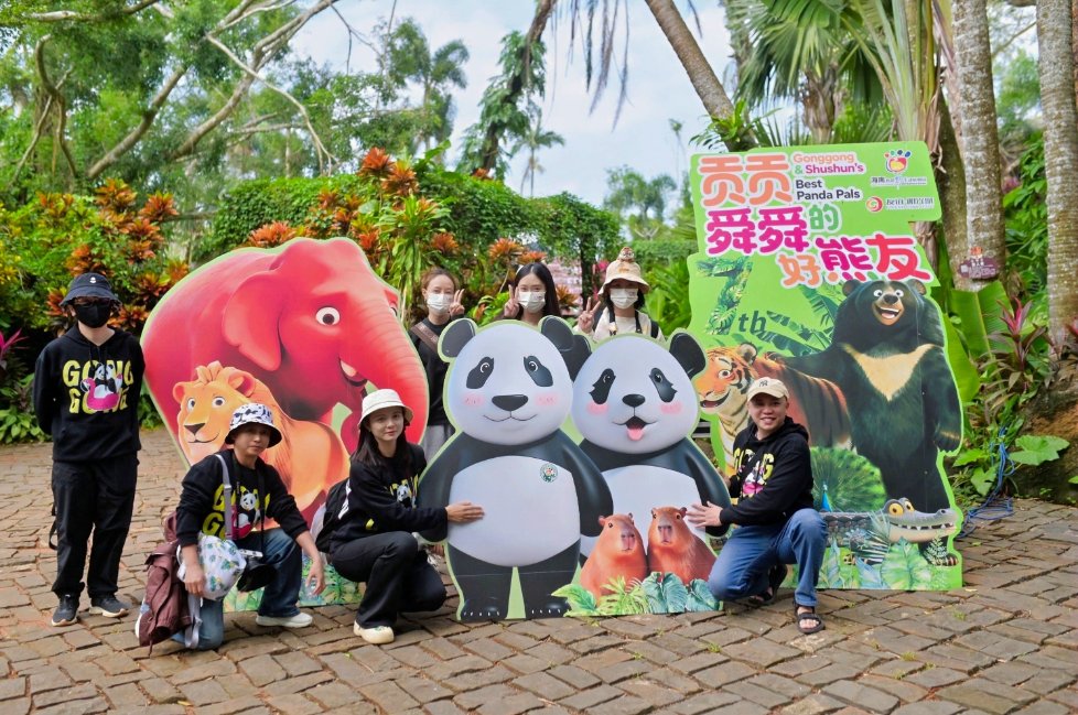🐼❤️ Wow, what an adorable and heartwarming day! On November 22, the #Hainan Tropical #Wildlife Park and Botanical Garden hosted a fun event to celebrate the 7th anniversary of the beloved panda brothers #Gonggong and #Shunshun's arrival on the island! 🎂

Visitors became super
