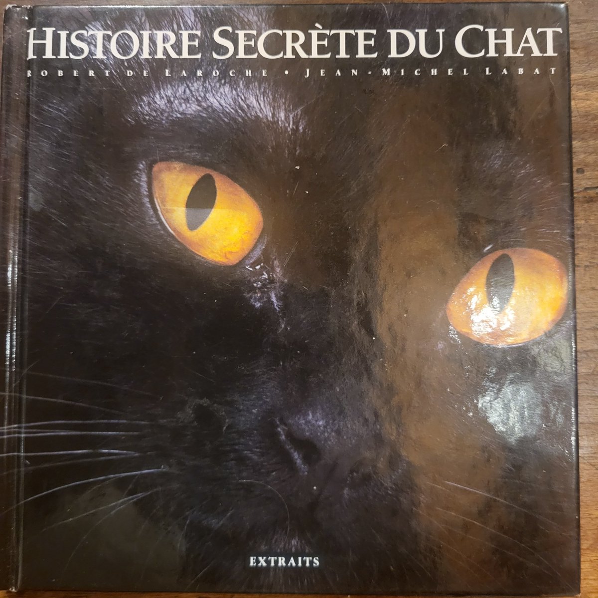 PierreLechat2's tweet image. Offert par un vieil ami avec une belle dédicace, cet excellent #livre sur l&apos;histoire secrète du #chat ! 😻
#gatos #cats #gatti #Katzen
