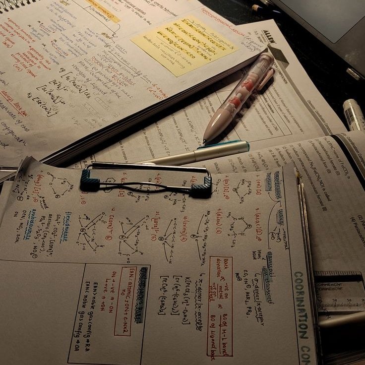 aurorastudy_'s tweet image. ⊹ ࣪ ˖ “𝐯𝐚𝐥𝐞 𝐚 𝐩𝐞𝐧𝐚 𝐟𝐚𝐳𝐞𝐫 𝐟𝐚𝐜𝐮𝐥𝐝𝐚𝐝𝐞 𝐞𝐧𝐪𝐮𝐚𝐧𝐭𝐨 𝐞𝐬𝐭𝐮𝐝𝐚 𝐩𝐫𝐚 𝐦𝐞𝐝𝐢𝐜𝐢𝐧𝐚?” ⊹ ࣪ ˖ ♡

A thread mais sincera que você vai ler hoje. Só o que eu gostaria que tivessem me dito quando comecei minha jornada.

Segue o fio ୨ৎ #studytwt #studytwtbr