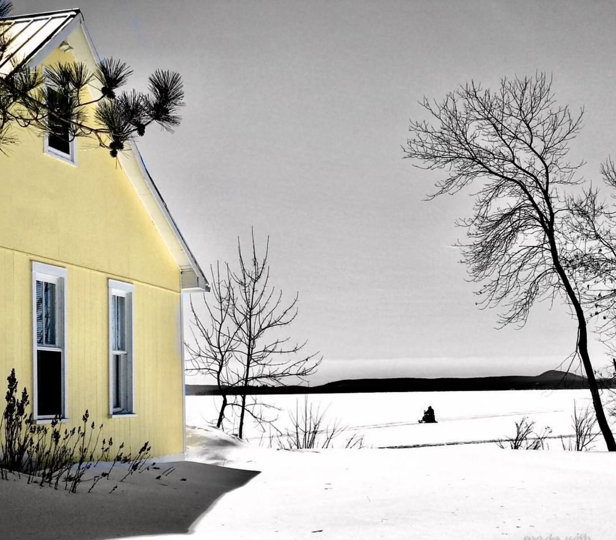 Buenos días y tarde para todos _.

La llegada del invierno es como un suave susurro que llena el aire de esperanza.

Duda entre B&amp;N y colores, así que elegí ambos._

Mi📸
©️Apn.

Momentos de mi vida.

Gracias por los rt’s y like.