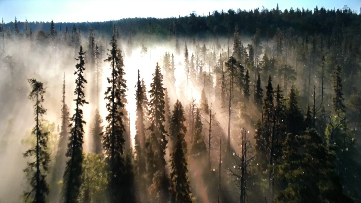 daveactv's tweet image. Memory Captures: Broadcast on BBC ONe HD back in Nov. 2019 was the documentary Seven Worlds One Planet &apos;Europe&apos; here are just 4 of the screen caps I saved back then. #documentary #BBCOneHD #memory #capture