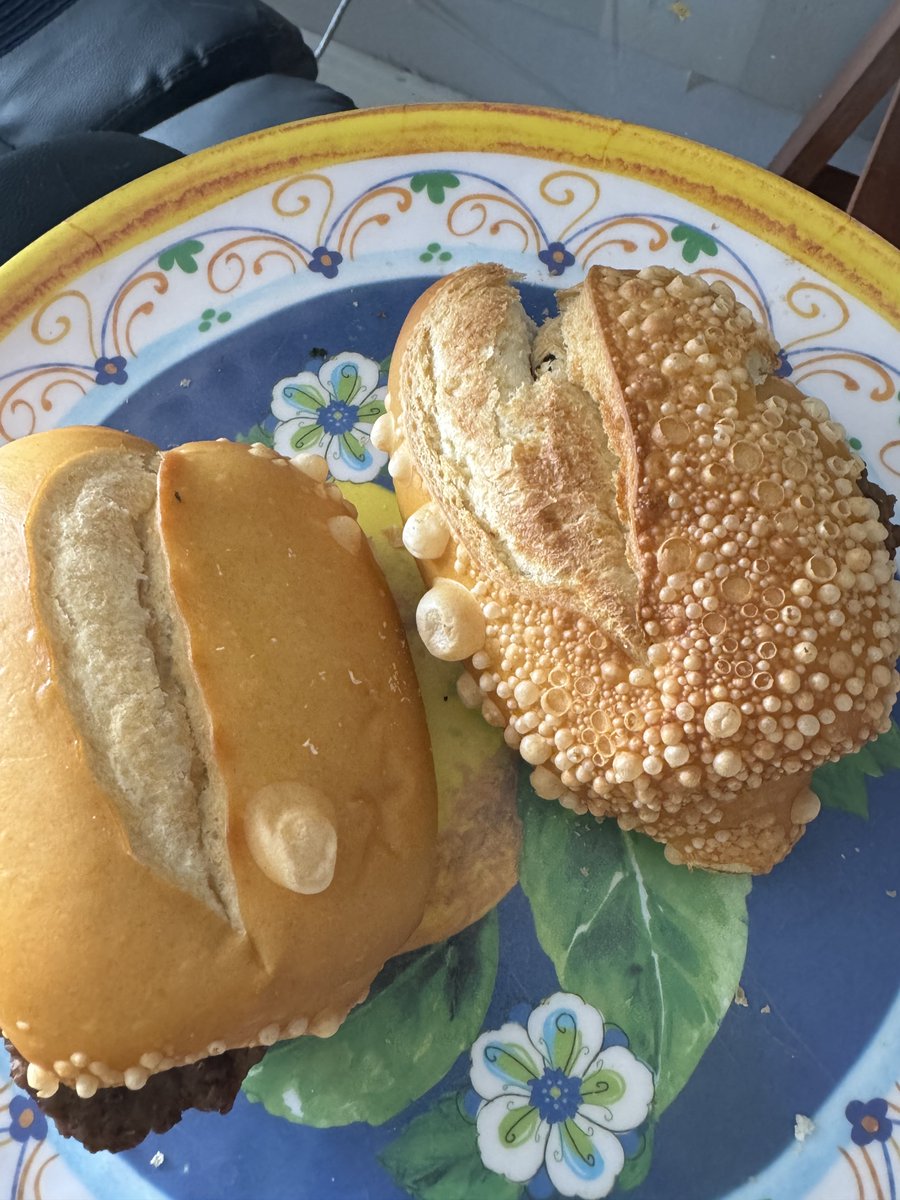 cabreloatips's tweet image. Fui colocar o pao na airfryer e ele ficou cheio de pereba

Tnc