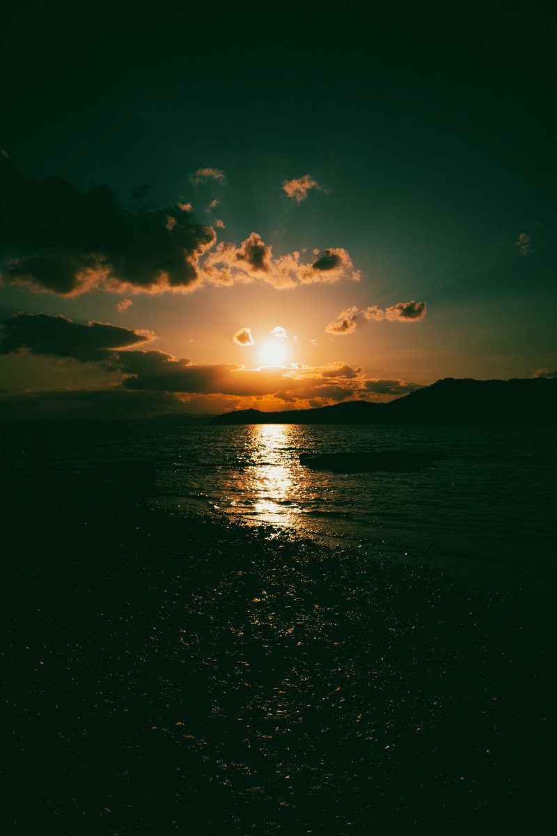 久松玉葱 tweet media