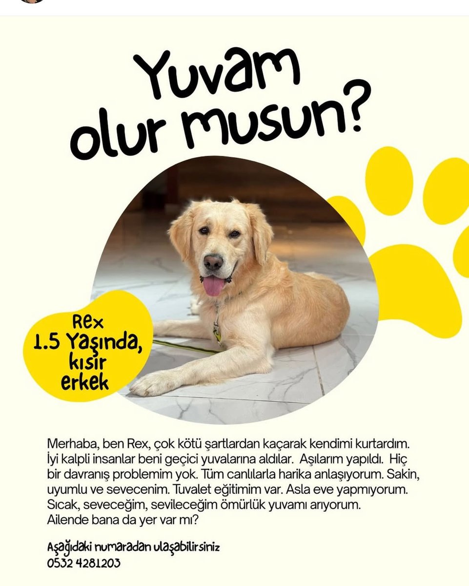 Bir kafede sürekli bağlı tutuluyordu, şiddet de görmüş, kurtarıldı. Ömürlük ailesini arıyor.