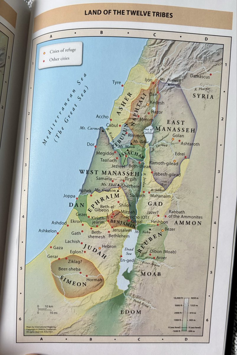 Bunni 🐰 tweet media