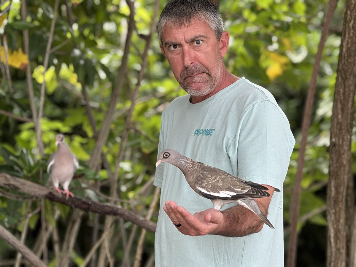 MaybeSoMaybeLot tweet media