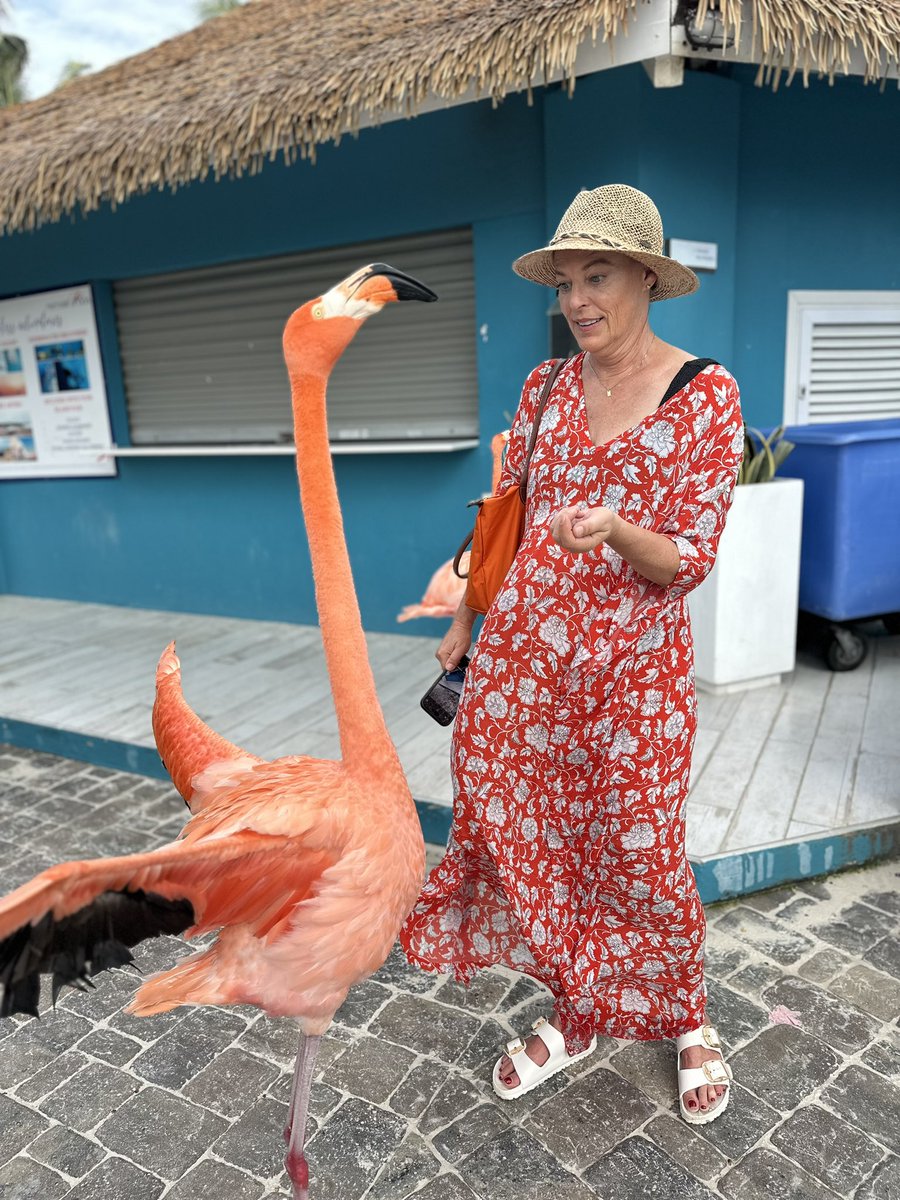 MaybeSoMaybeLot tweet media