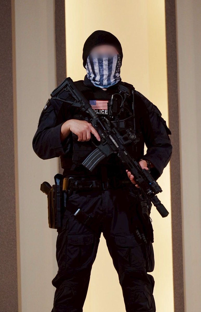 とりがー🇺🇸USSS CAT FUN🐈‍⬛🐾 (@shizuokap_17) / Posts / X