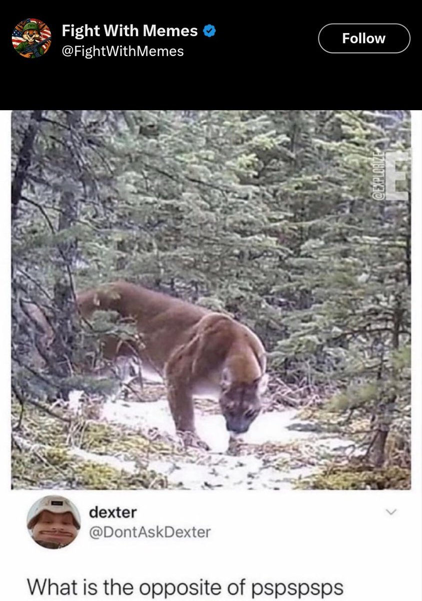 Sportifications's tweet image. UCF this week (check the comment)
#GameWeek #BYUFootball #GoCougs #BeatUCF