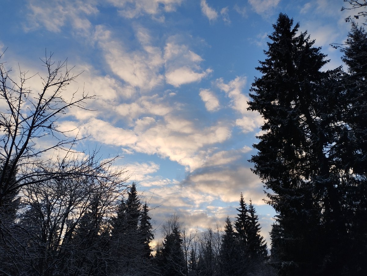 okora's tweet image. Ноябрьский дзен. Гуляй в тишине, ничего не делай. Придет весна, и трава вырастет сама по себе.