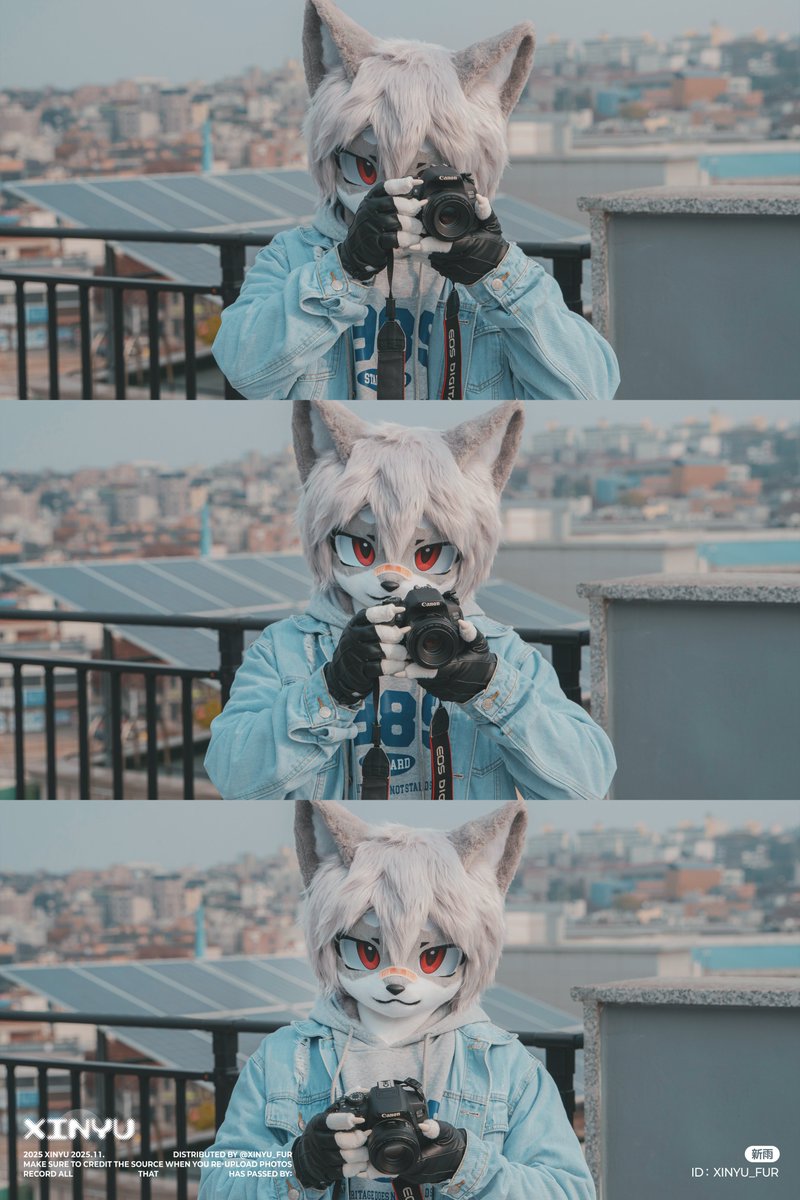 XINYU_FUR's tweet image. 🩹 &quot;오늘은 하치한테 카메라를 빌렸어. 이쪽 보고, 웃어봐! 내가 바라보는 세상을 너에게도 보여줄게.&quot;

#FursuitFriday #Fursuit 
#新雨日記