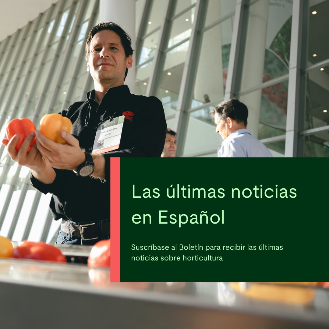 GreenTechRAI's tweet image. ¿Desea mantenerse al día con las últimas innovaciones que están dando forma al futuro de la horticultura en América Latina y más allá?

👉 No se pierda la próxima edición, que saldrá el 16 de diciembre. ¡Suscríbase ahora!
greentech.nl/americas/bolet…