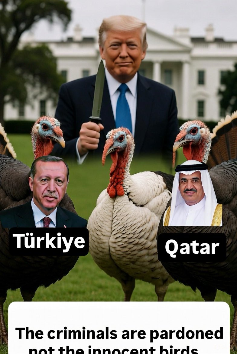 EastMedMonitor's tweet image. Which turkey to be pardoned ? 

Trump seems he chose to slaughter the small chicken and protected the BIG birds,the actual big Islamist terrorist sponsors ! 

It is not too late for universal ban of Muslim Brotherhood ideology, under the various names and subsidiaries, and hold…