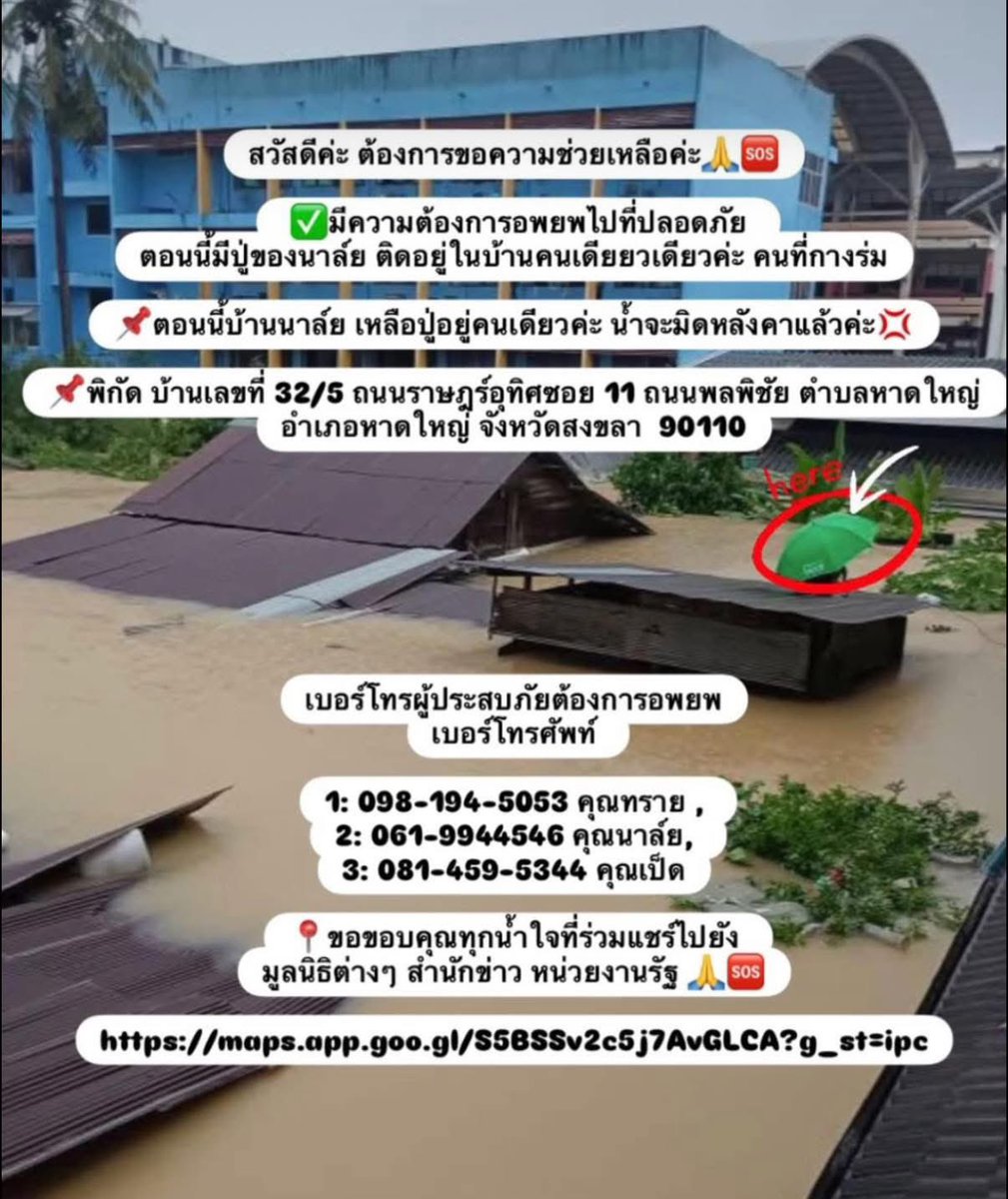 🌈🦦🐟 tweet media