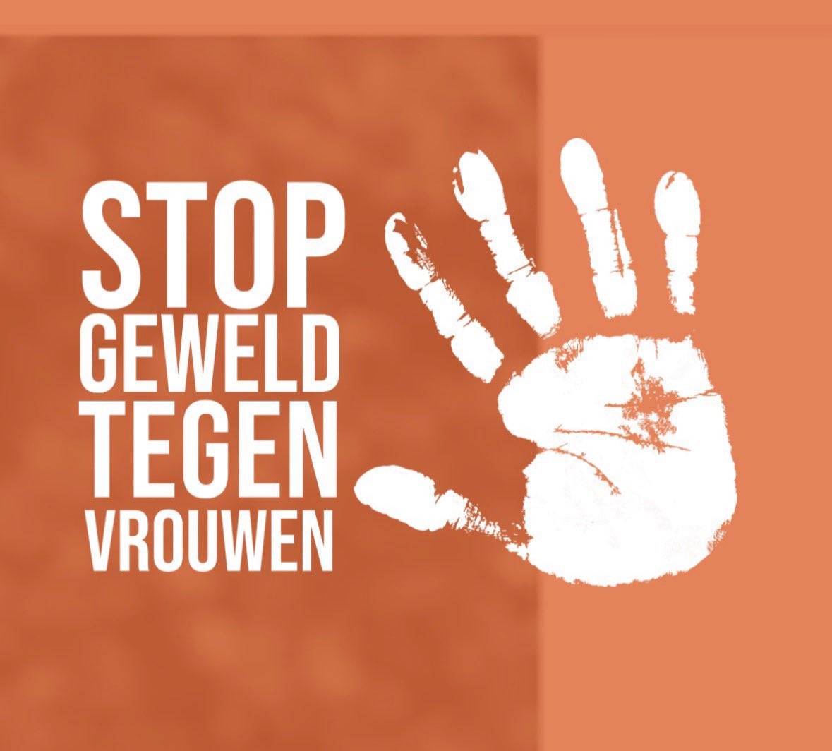 TomvanderLee's tweet image. Sta er even bij stil: vandaag is het de Internationale Dag tegen Geweld tegen Vrouwen.

Het aanpakken van alle vormen van geweld tegen vrouwen is cruciaal, want veel te vaak mondt het uit in femicide.
