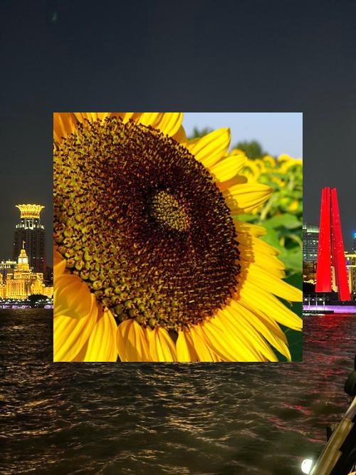 Every star’s light is a message from the cosmos: you are loved 💌🌟​🦎風雨兼程一路走，陪伴是最暖行囊。