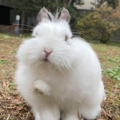 マニア必見❗ 新しいプロフィール画像