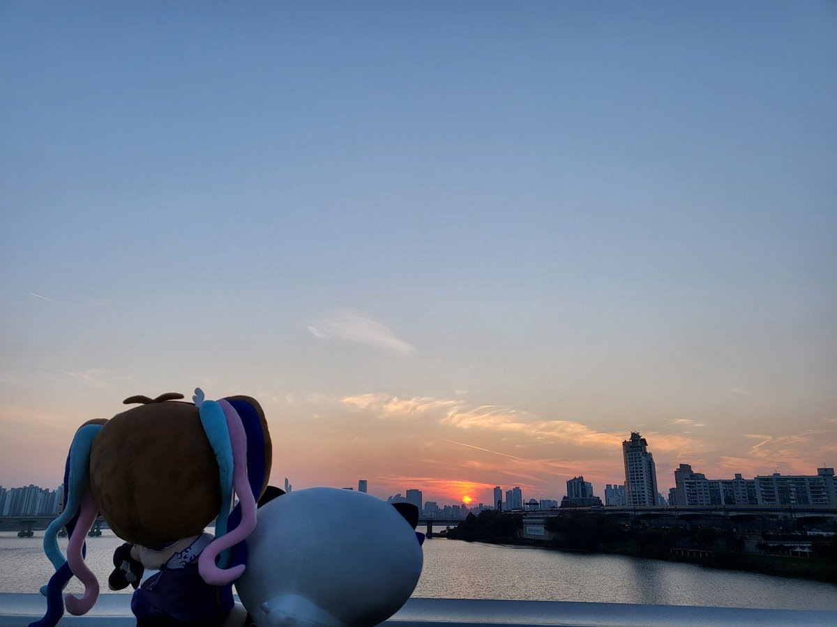 Rattlesnake tweet media