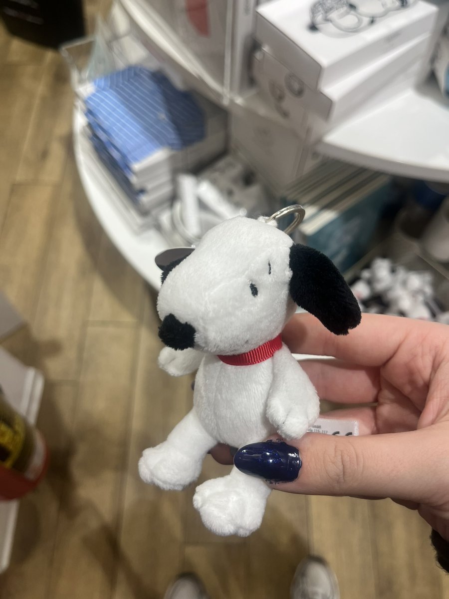 soapyphile's tweet image. i saw this adorable snoopy keychain but it was 10€ so i didn’t get it 💔