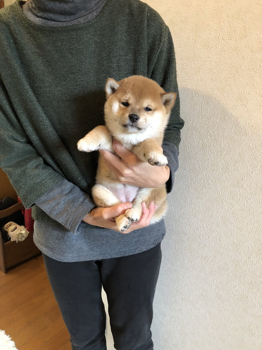 可愛い！ぬいぐるみの様だ！