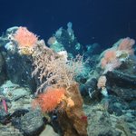 Photo by National Oceanography Centre (@NOCnews)