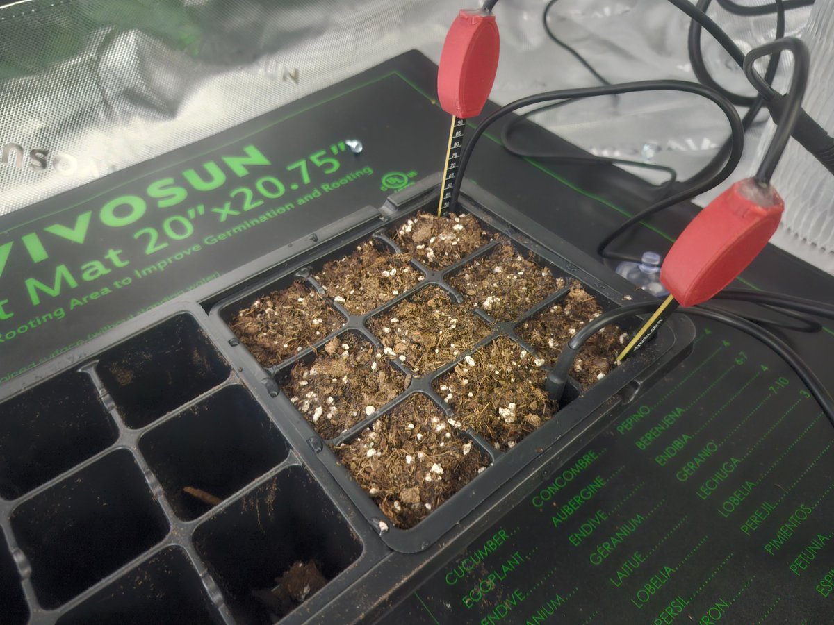 d33v33d0's tweet image. Every this is connected and ready to go!

The seeds are terminating, here are moisture and temp sensors. 

I&apos;ll do a video documenting the setup in better detail soon