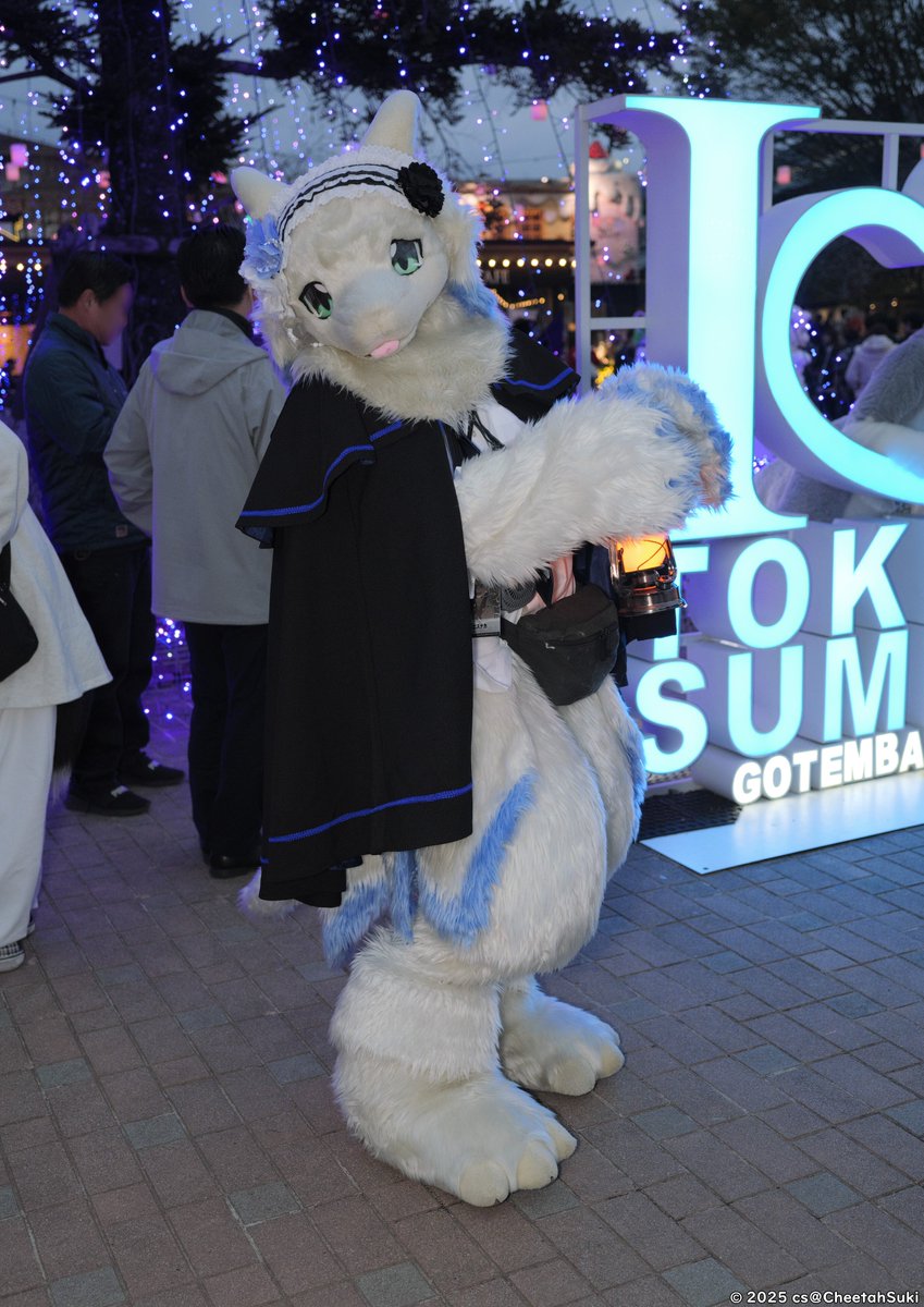 Good evening.🐐🌃
📸(<a href="/CheetahSuki/">cs/Ortensia➡️FLiP2025</a>)
#Kemocon18