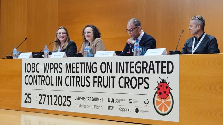 🔊El SA de <a href="/GVAagricultura/">GVA Agricultura, Agua, Ganadería y Pesca</a>, <a href="/vicente_tejedo/">Vicente Tejedo</a>, en la inauguración del congreso de 'Gestión Integrada de Cítricos' 🍊 de la Organización Internacional de Control Biológico (IOBC), un encuentro que acoge la Universitat Jaume I de #Castellón hasta el 27N