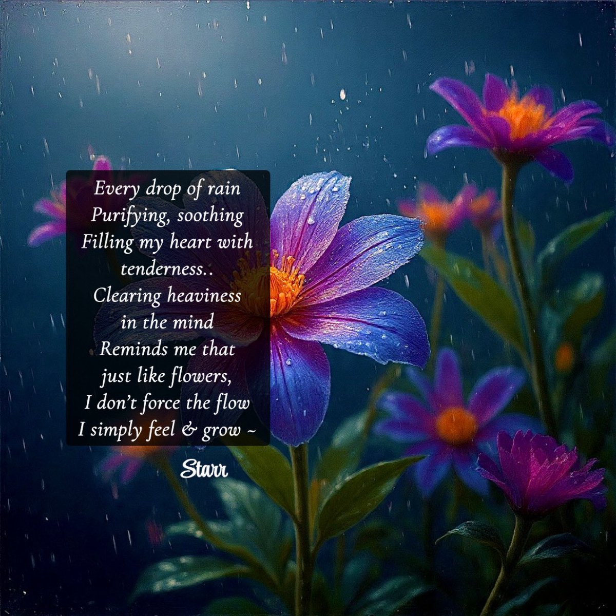 ✨ Every drop of rain
Purifying, soothing
Filling my heart with 
tenderness..
Clearing heaviness 
in the mind
Reminds me that 
just like flowers, 
I don’t force the flow
I simply feel &amp; grow ~

#poem #poetry #poets #writers #poetrycommunity #WritingCommunity