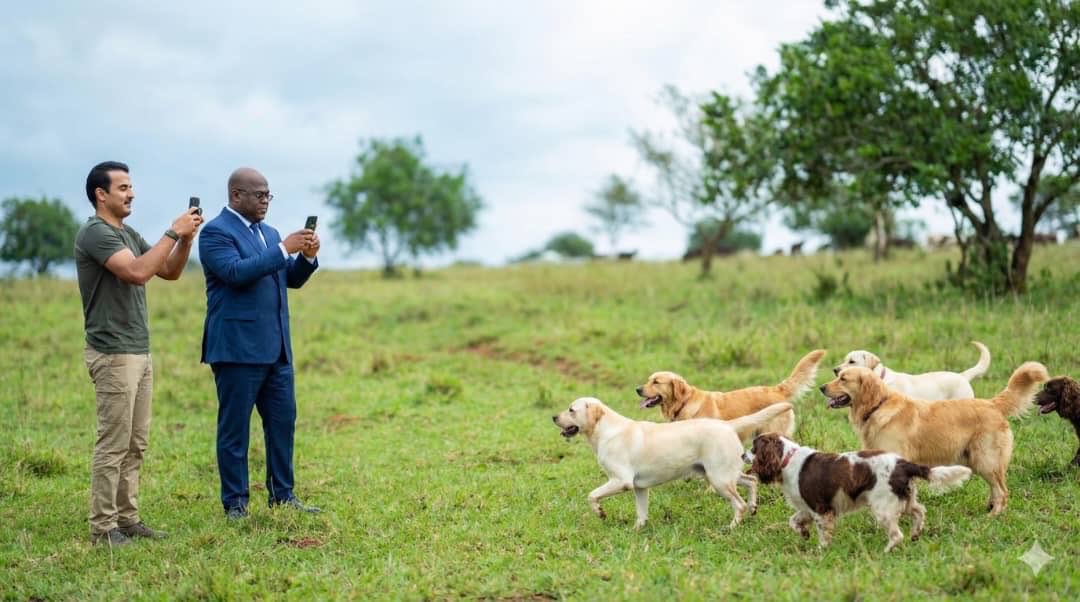 SafariMafishi's tweet image. Chez les #Banyarwanda, le plus beau cadeau que l’on puisse offrir à un ami, c’est une vache; c’est une tradition héritée des ancêtres.
Mais chez les #Baluba, dit-on, le meilleur cadeau serait un chien.