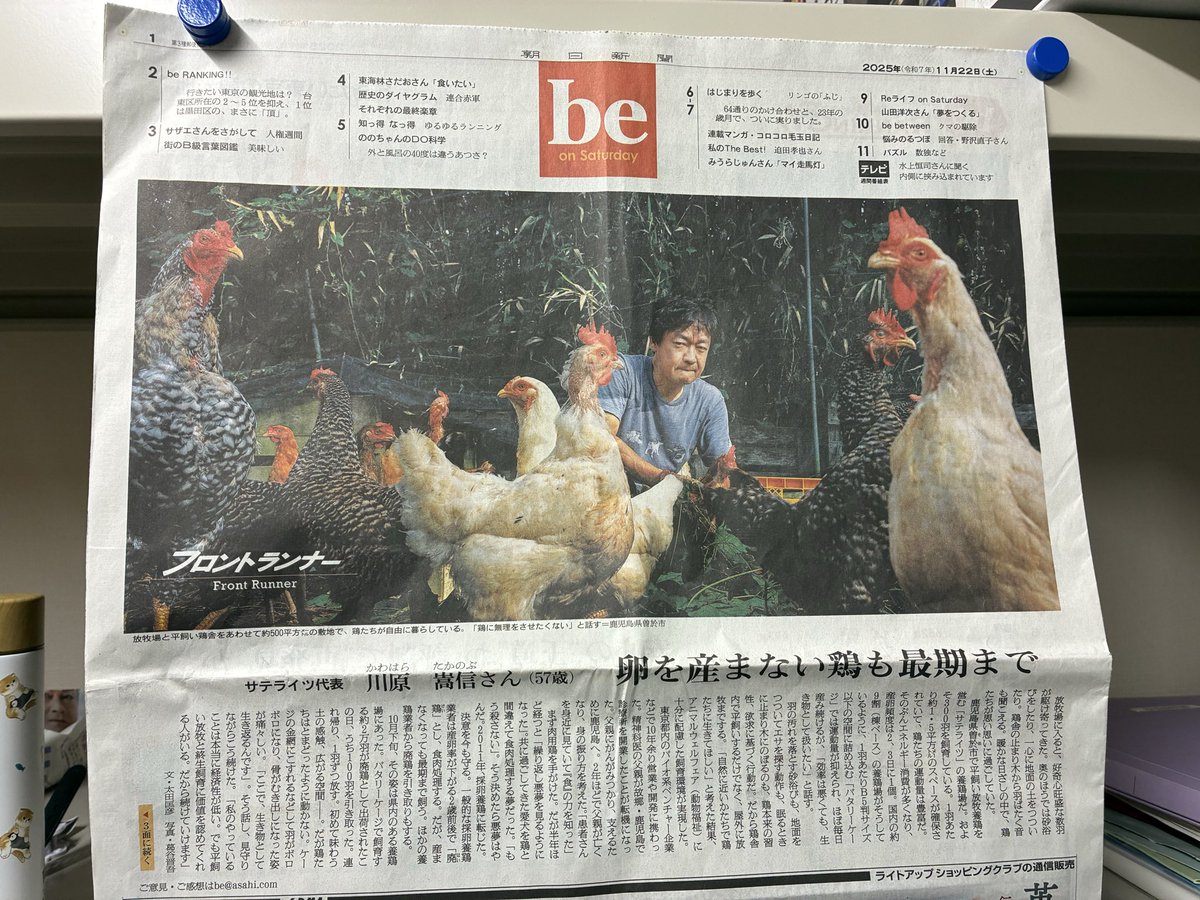 劣悪な場所からレスキューされ最期まで自然の中で飼育されてる🐓たち
幸せそうだなぁ💕