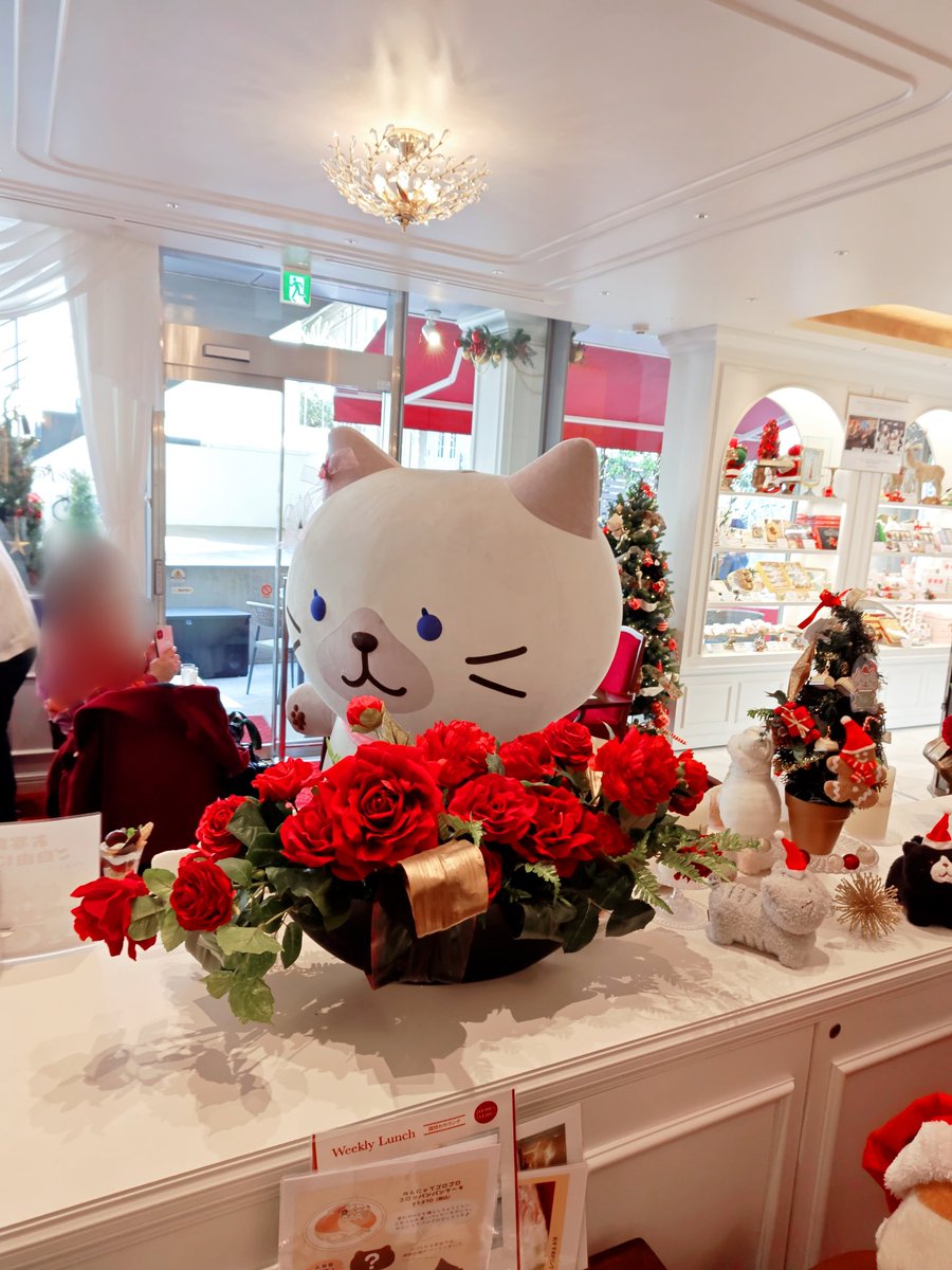 runa_20140224's tweet image. 大好きな 大好きなシャーシャちゃんに会えました💖とっても可愛いシャーシャちゃん🩷見惚れちゃいました💖シャーシャちゃんに会えて パフェも食べれて至福の時でした💖💖💖
#ふくふくにゃんこ
#ふくふくにゃんこ集会